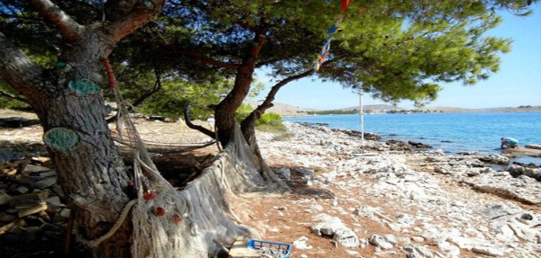 Lavdara mare e pesca