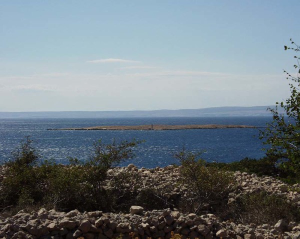 Isola Krk Punat località Negrit