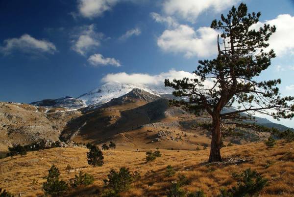 Parco Naturale del Velebit